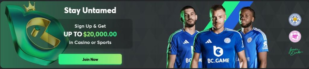 Welcome bonus on bc.game casino